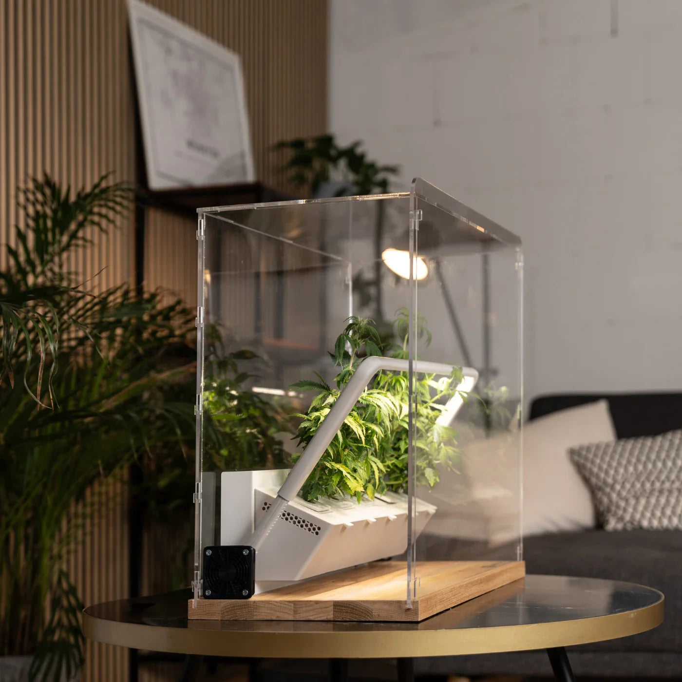 Vitrine - Growbox 2.0